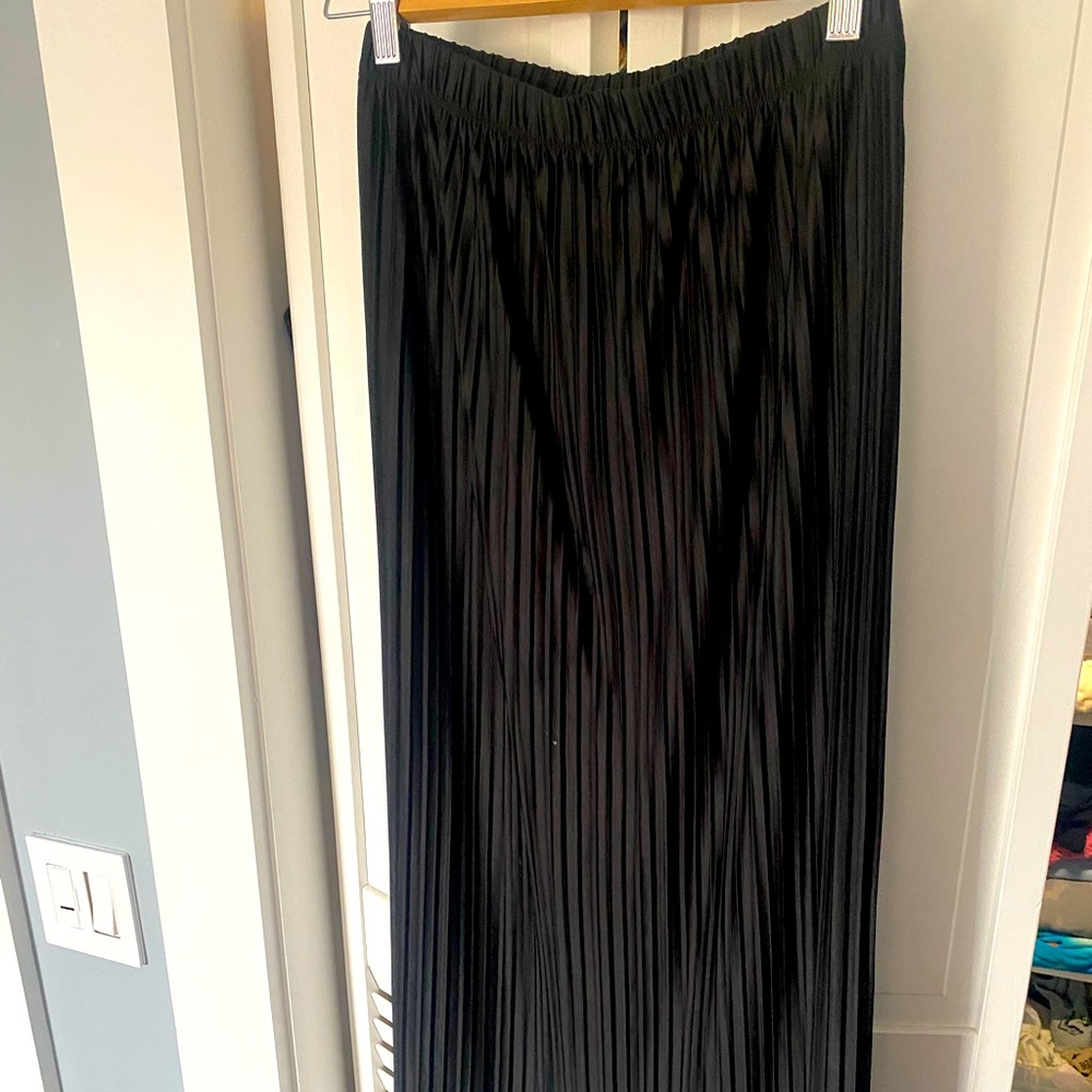 Zara maxi skirt